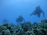 Hawaii Scuba divng 63