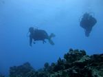 Hawaii Scuba divng 64