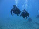 Hawaii Scuba divng 66