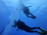 Hawaii Scuba divng 06