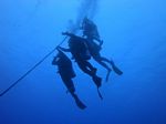 Hawaii Scuba divng 08