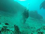 Hawaii Scuba divng 12