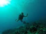 Hawaii Scuba divng 14