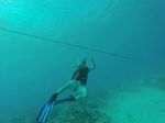 Hawaii Scuba divng 15