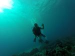 Hawaii Scuba divng 16