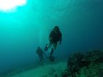 Hawaii Scuba divng 17