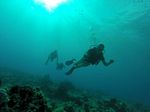 Hawaii Scuba divng 18