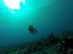 Hawaii Scuba divng 19