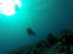 Hawaii Scuba divng 20