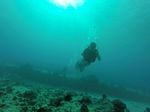 Hawaii Scuba divng 23