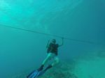 Hawaii Scuba divng 26