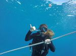 Hawaii Scuba divng 32