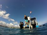 Hawaii Scuba divng 35