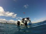 Hawaii Scuba divng 38