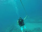 Hawaii Scuba divng 39