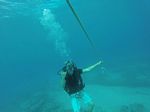 Hawaii Scuba divng 40