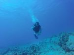 Hawaii Scuba divng 43