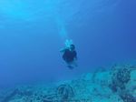 Hawaii Scuba divng 44