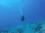 Hawaii Scuba divng 45