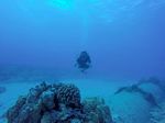 Hawaii Scuba divng 46