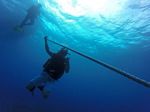 Hawaii Scuba divng 48