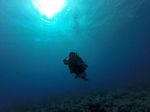 Hawaii Scuba divng 53