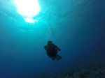 Hawaii Scuba divng 54