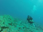 Hawaii Scuba divng 66