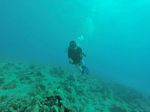 Hawaii Scuba divng 68