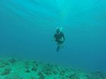 Hawaii Scuba divng 71