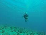 Hawaii Scuba divng 71