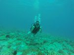 Hawaii Scuba divng 78