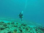 Hawaii Scuba divng 88