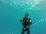 Hawaii Scuba divng 90