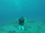 Hawaii Scuba divng 94