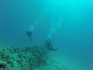 Hawaii Scuba divng 19