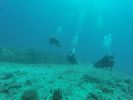 Hawaii Scuba divng 21