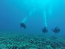 Hawaii Scuba divng 23