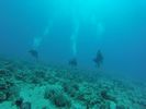 Hawaii Scuba divng 24