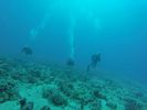 Hawaii Scuba divng 25