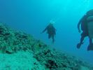 Hawaii Scuba divng 26