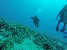 Hawaii Scuba divng 27