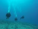 Hawaii Scuba divng 31