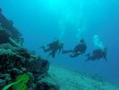 Hawaii Scuba divng 34