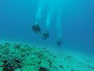 Hawaii Scuba divng 41