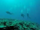 Hawaii Scuba divng 42