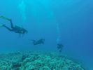 Hawaii Scuba divng 46