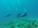 Hawaii Scuba divng 47