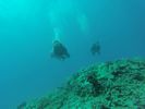 Hawaii Scuba divng 48