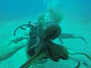 Hawaii Scuba divng 53